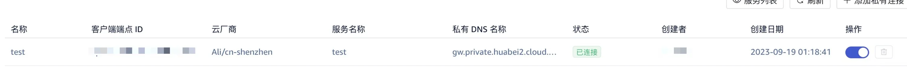 查看私有DNS