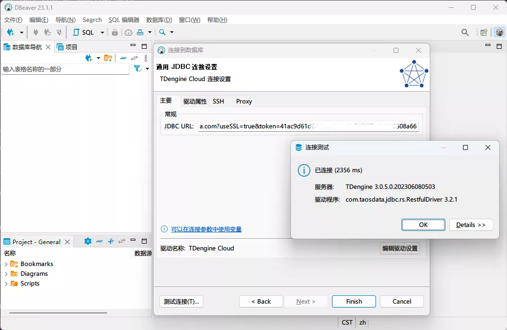 配置 TDengine Cloud 连接