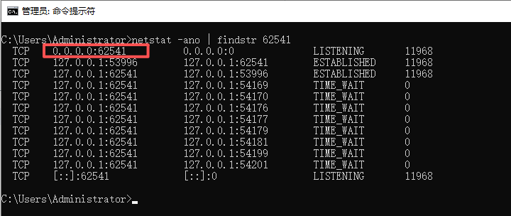 netstat 验证监听地址